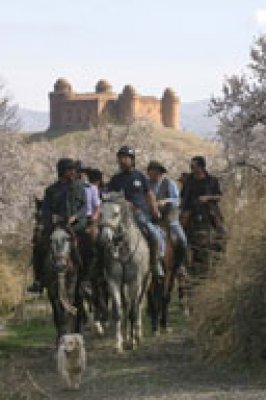 paardrijvakantie in andalusë