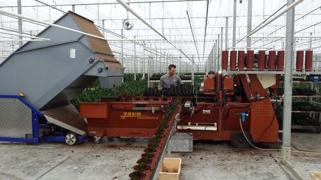 Jarini, dé specialist voor alle sierteelt werkzaamheden!
