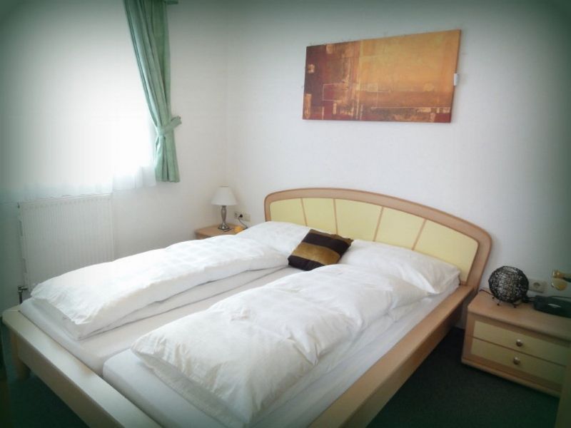 Vakantie Oostenrijk, ski, aan de piste, appartement 4 personen,winter en zomer, Alpendorf, Ski Amadé