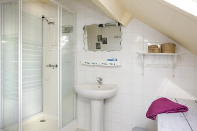 Vakantie met de hond in Frankrijk