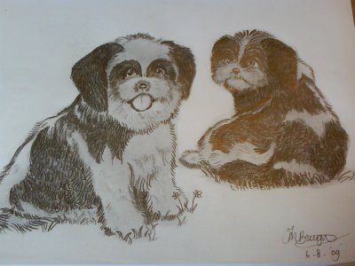 Een potloodtekening van uw kind of uw huisdier