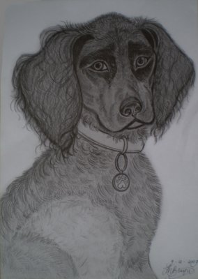 Een potloodtekening van uw kind of uw huisdier