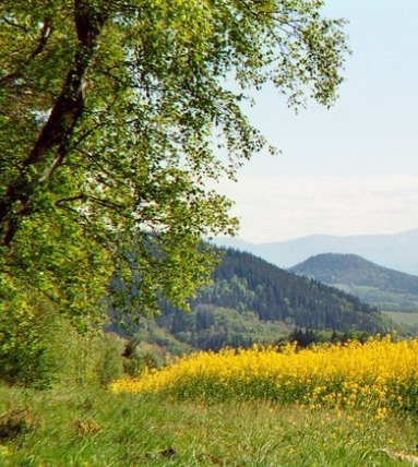 Boerderij Pure Poland 