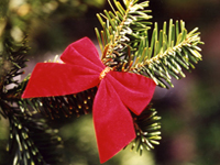 Kerstarrangementen vind je op CharmantHotel.com