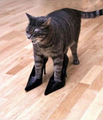 laminaat leggen met 2 jaar garantie. laminaatzoglegdlnle