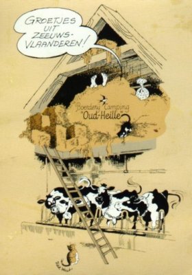 Zomer, zee: Vlaamse vakantieboerderij aan zee(land)