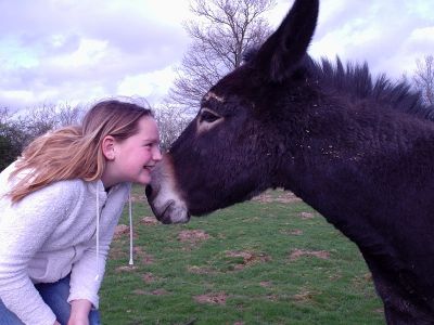 Camping en vakantiewoningen te koop 