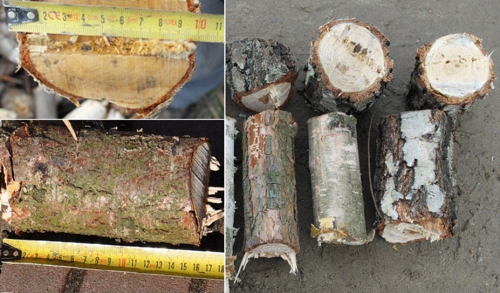 Hakselaar voor snoeiafval van houtzagerij