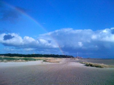 Chalet Te Huur op Terschelling