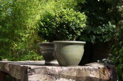 Romantische B&B in Frankrijk, Auvergne