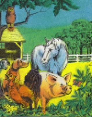 Boerderij Avontuur – persoonlijk boek met naam!