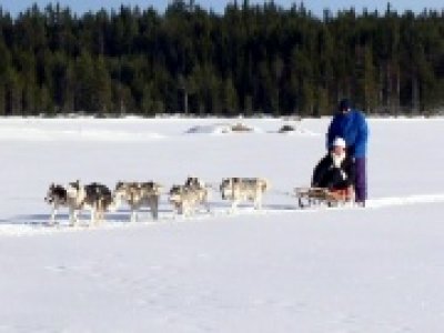 B & B in luxe vakantie appartementen in Zweden met meerzicht