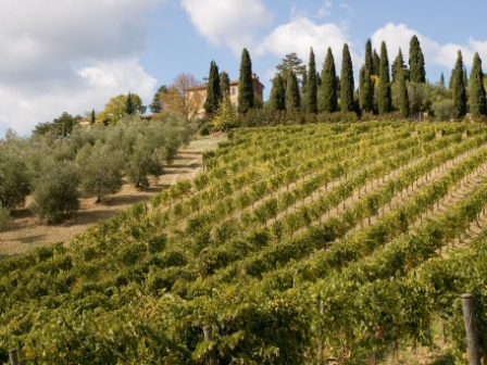 Vakantiehuisjes in het prachtige Toscane
