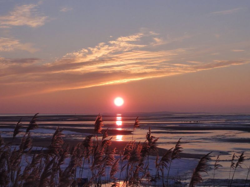 Chalet te huur op Terschelling