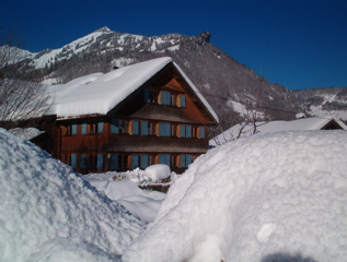 Vakantie app. in Oostenrijk waar Nederlands praten geen probleem is