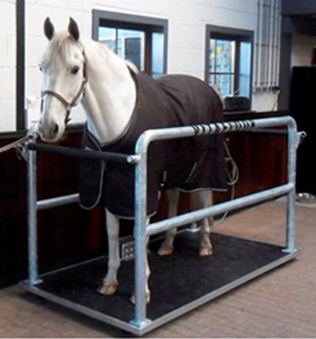 Belebro stap- en trainingsmolens, Vitafloor vibratievloeren en nog veel meer!