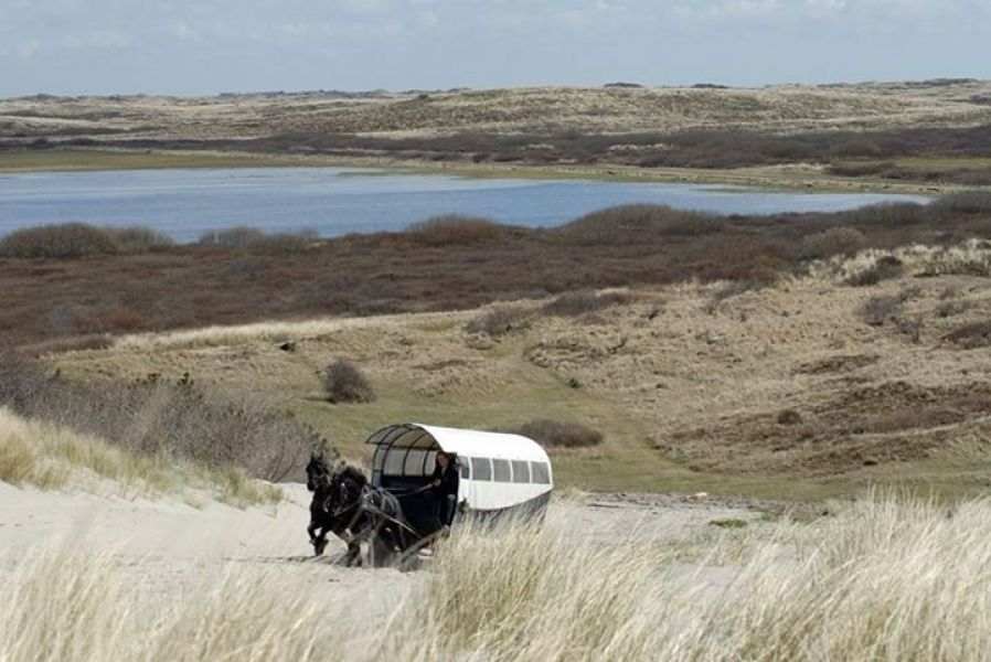 Chalet te huur op Terschelling
