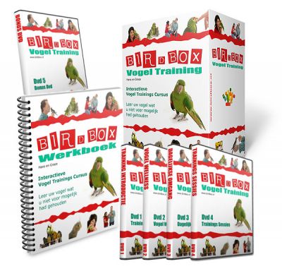 Nog Nooit was het Trainen van Je Papegaai zo Eenvoudig!