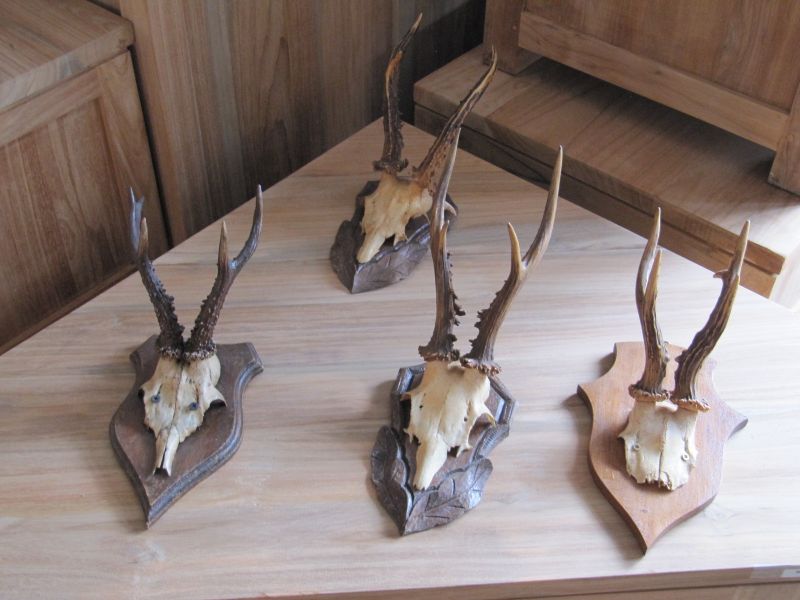 Teakpaleis de goedkoopste met top kwaliteit aan teak en brocante meubelen  van nederland en belgie 