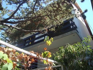 Kroatien-schoenes Haus direkt am Meer, zu verkaufen.