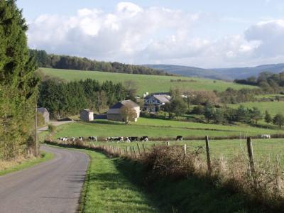 7 luxe vakantiehuizen Heyd Belgie