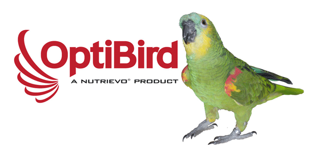 Bijzondere dierbenodigdheden manden, vervoersboxen en meer