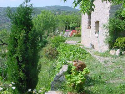 Spanje Landhuis 8 pers op heuvel in natuur vanaf 30 euro/dag