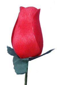 kunst rozen van berkenhout  - een roos die blijft