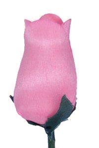 kunst rozen van berkenhout  - een roos die blijft