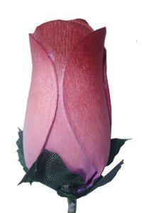 kunst rozen van berkenhout  - een roos die blijft