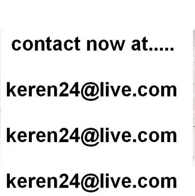 ze is zo leuk voor de dames. engels bulldog puppy