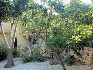 Een vakantie appartement huren in Buenavista Benissa 