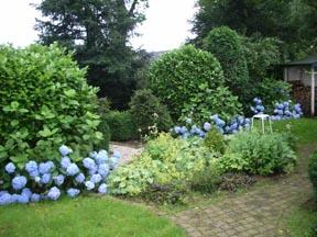 Comfortabel huisje op de Veluwe