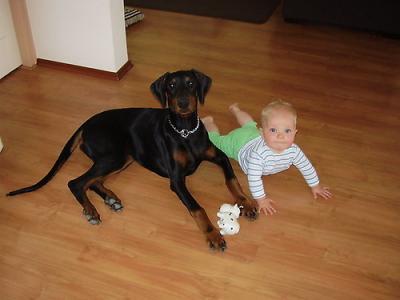 Wij worden ongeveer 3 Juli 2010 verwacht