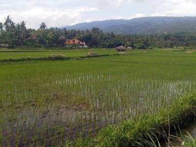 Bali, Diamond Damai Villas