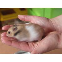 Lekker alleen, helemaal niet gemeen