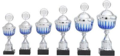 Goedkope Sportprijzen voor elk budget en evenement