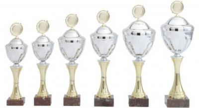 Goedkope Sportprijzen voor elk budget en evenement