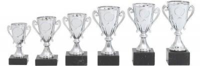 Goedkope Sportprijzen voor elk budget en evenement