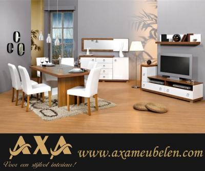 modern design woonkamer meubelen AXA Rotterdam DenHaag Breda