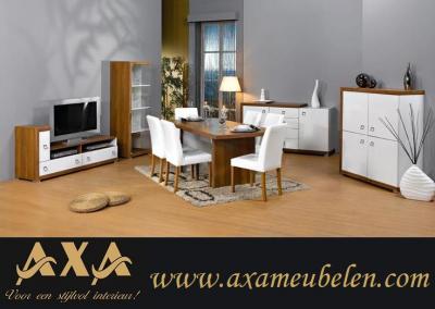 Woonwand wandmeubelen wandkasten AXA Rotterdam Breda DenHaag