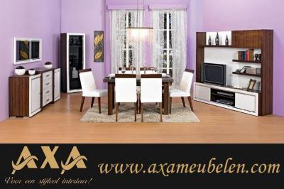 vitrine kast tafels wand meubel AXA Rotterdam Breda Den Haag