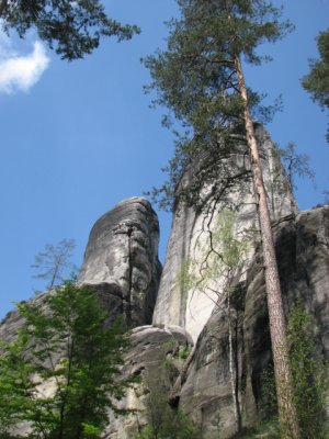 gezellig vakantiehuis
