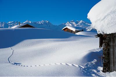 Vakantie app. in Oostenrijk waar Nederlands praten geen probleem is
