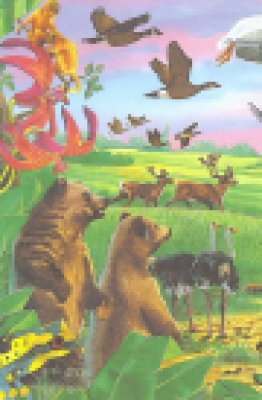 De Ark van Noah – persoonlijk boek met naam!