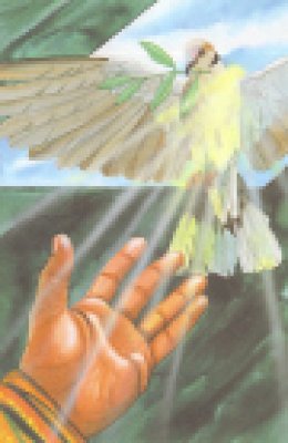 De Ark van Noah – persoonlijk boek met naam!