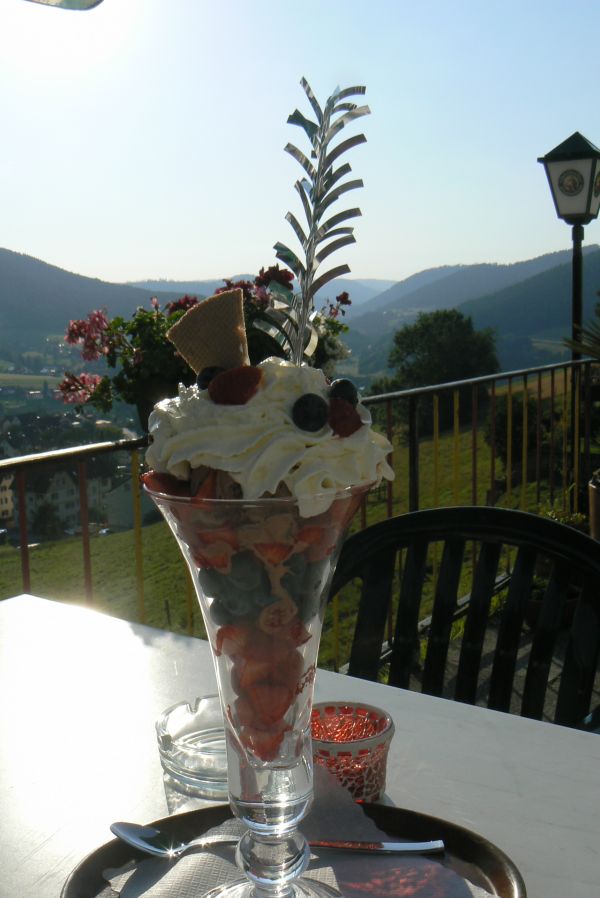 Schitterend gelegen pension-vakantiewoning Zwarte Woud