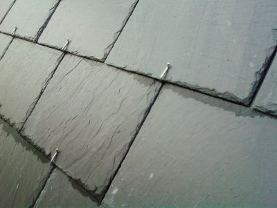 Natuurleien voor dak en gevel