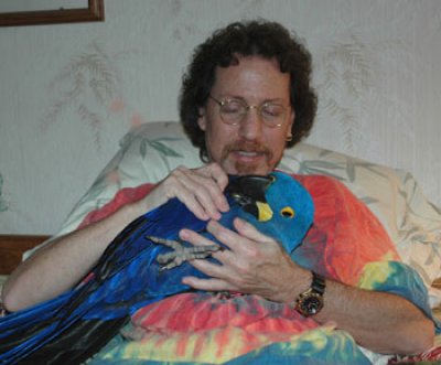 baby hyacint en de Afrikaanse grijze papegaaien. 