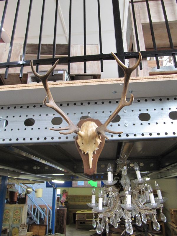 Teakpaleis de goedkoopste met top kwaliteit aan teak en brocante meubelen  van nederland en belgie 